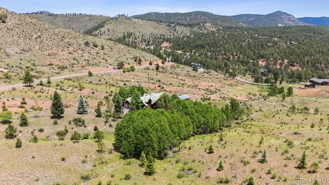 15690 Cochise Trl, Pine, CO 80470 - photo 45
