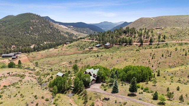 15690 Cochise Trl, Pine, CO 80470 - photo 46