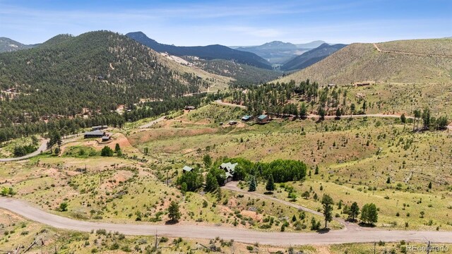 15690 Cochise Trl, Pine, CO 80470 - photo 47
