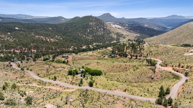 15690 Cochise Trl, Pine, CO 80470 - photo 48