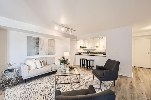 1551 Larimer St Unit 703, Denver, CO 80202 - living room with rail lighting, light wood-style floors, and baseboards