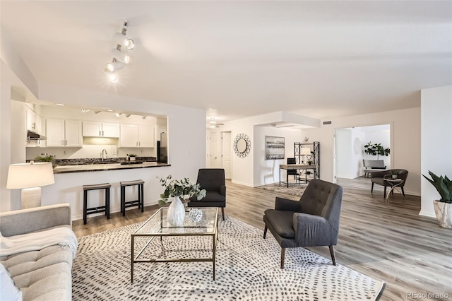 1551 Larimer St Unit 703, Denver, CO 80202 - living area with light wood finished floors, baseboards, and track lighting