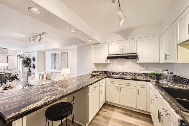 1551 Larimer St Unit 703, Denver, CO 80202 - kitchen with rail lighting, under cabinet range hood, a peninsula, a sink, and a breakfast bar area