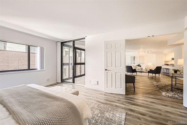 1551 Larimer St Unit 703, Denver, CO 80202 - bedroom with wood finished floors, baseboards, and rail lighting