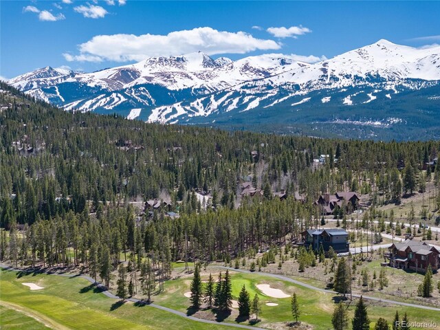2250 Highlands Dr, Breckenridge, CO 80424 - photo 6