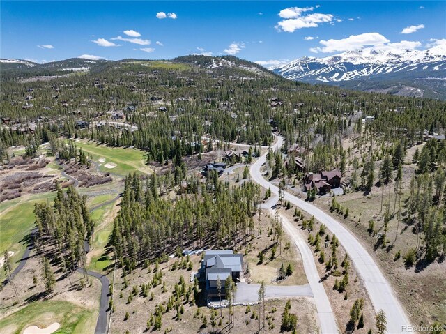 2250 Highlands Dr, Breckenridge, CO 80424 - photo 39