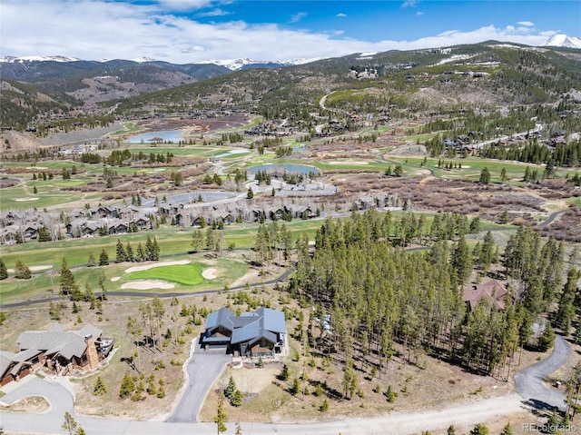 2250 Highlands Dr, Breckenridge, CO 80424 - photo 41