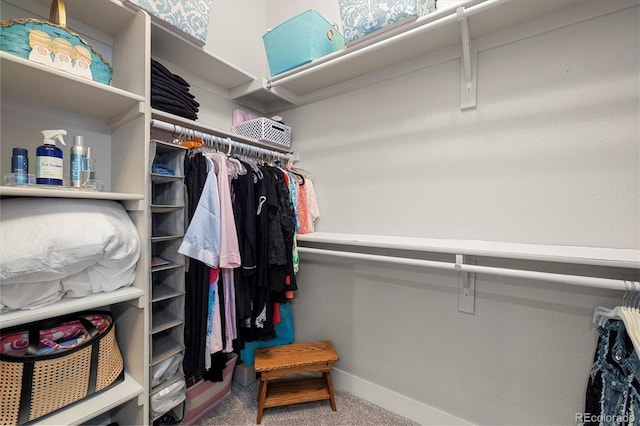 spacious closet with carpet