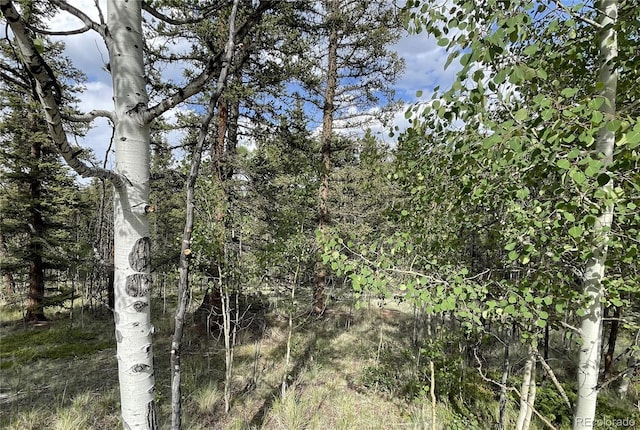 80 Haida Way, Jefferson, CO 80456