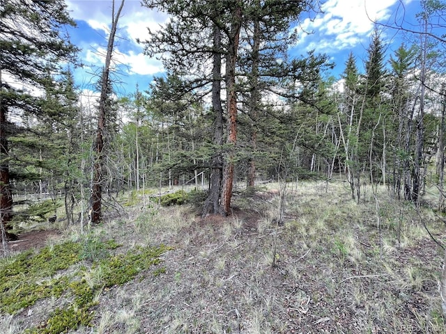 80 Haida Way, Jefferson, CO 80456