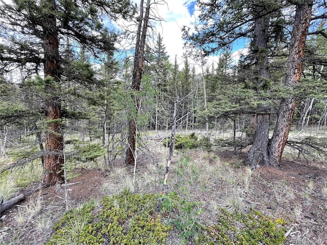 80 Haida Way, Jefferson, CO 80456