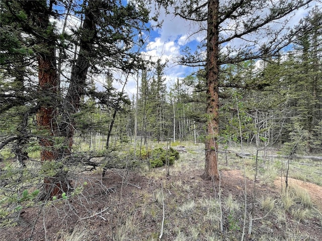 80 Haida Way, Jefferson, CO 80456
