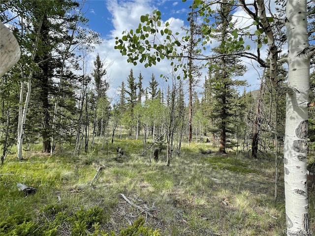 80 Haida Way, Jefferson, CO 80456