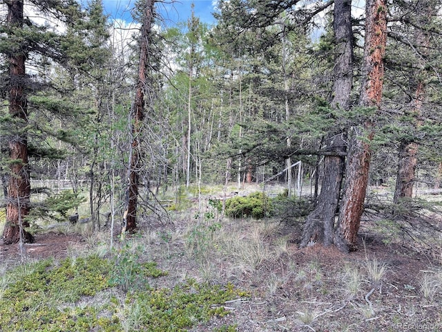 80 Haida Way, Jefferson, CO 80456