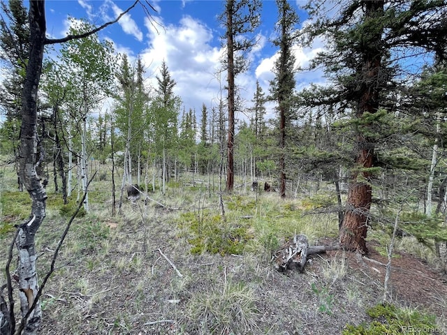 80 Haida Way, Jefferson, CO 80456