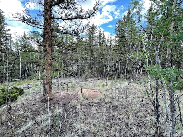 80 Haida Way, Jefferson, CO 80456
