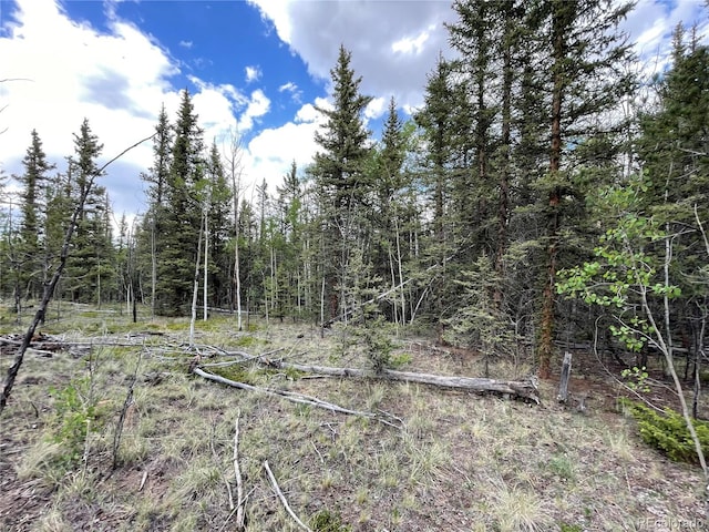80 Haida Way, Jefferson, CO 80456