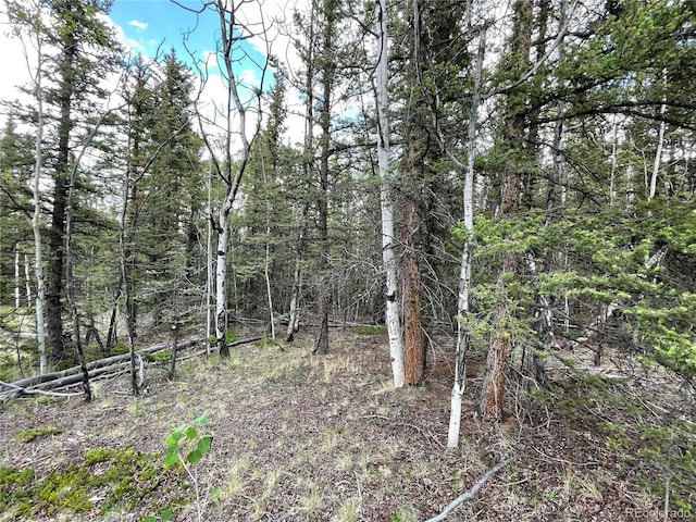 80 Haida Way, Jefferson, CO 80456