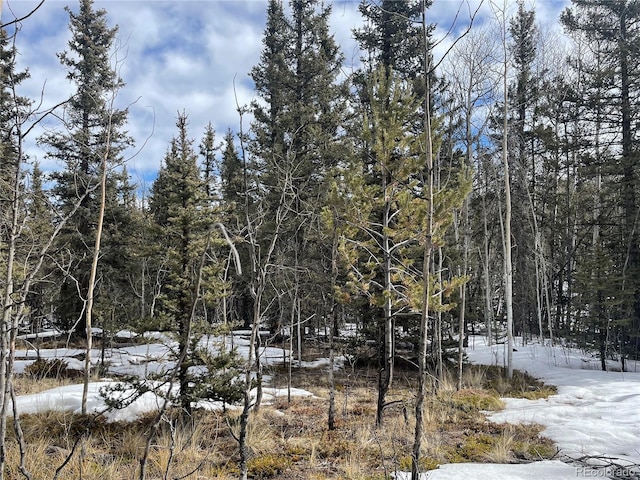 80 Haida Way, Jefferson, CO 80456