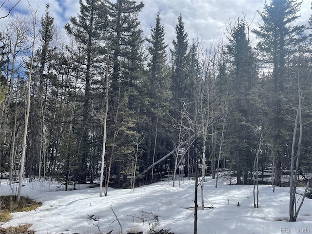 80 Haida Way, Jefferson, CO 80456