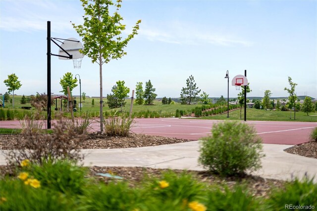 10185 Isle St, Parker, CO 80134 - photo 41
