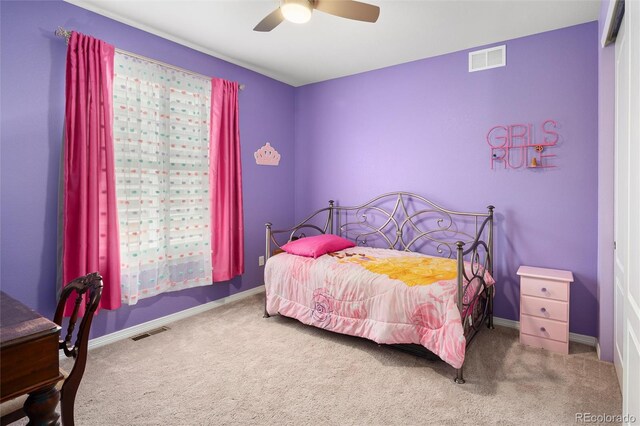 10185 Isle St, Parker, CO 80134 - photo 29
