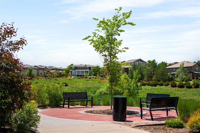 10185 Isle St, Parker, CO 80134 - photo 49