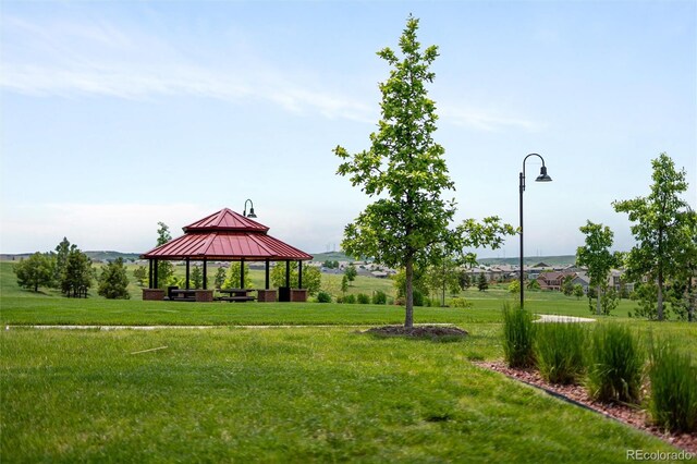 10185 Isle St, Parker, CO 80134 - photo 47