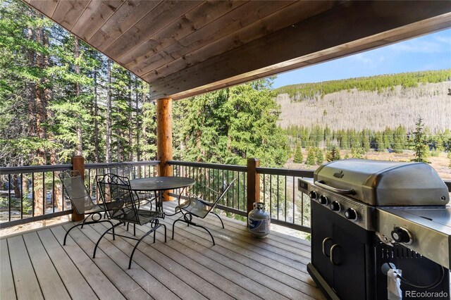 50 Cooney Ct, Blue River, CO 80424 - photo 18