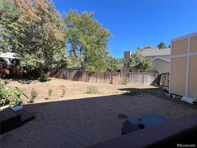 view of yard featuring a patio