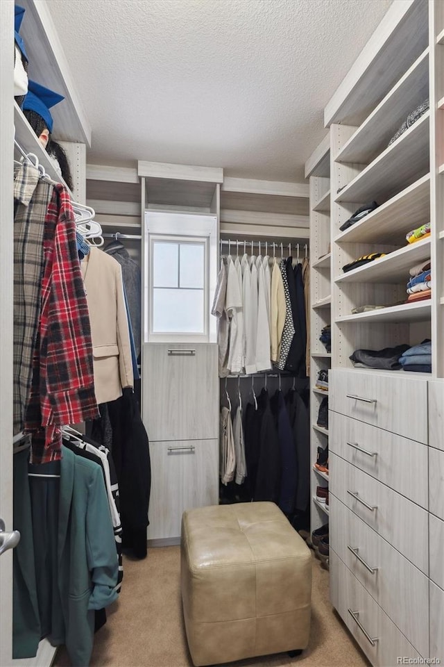 walk in closet with light carpet