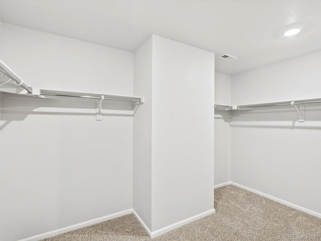 4684 Rabbitbrush St, Johnstown, CO 80534 - photo 33