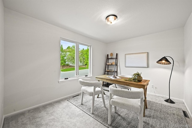 10235 Rustic Redwood Ln, Highlands Ranch, CO 80126 - carpeted office space featuring baseboards