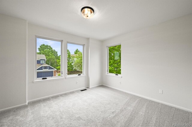 10235 Rustic Redwood Ln, Highlands Ranch, CO 80126 - carpeted spare room with baseboards