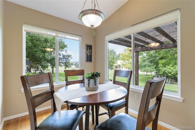 dining space featuring plenty of natural light, hardwood / wood-style flooring, and lofted ceiling