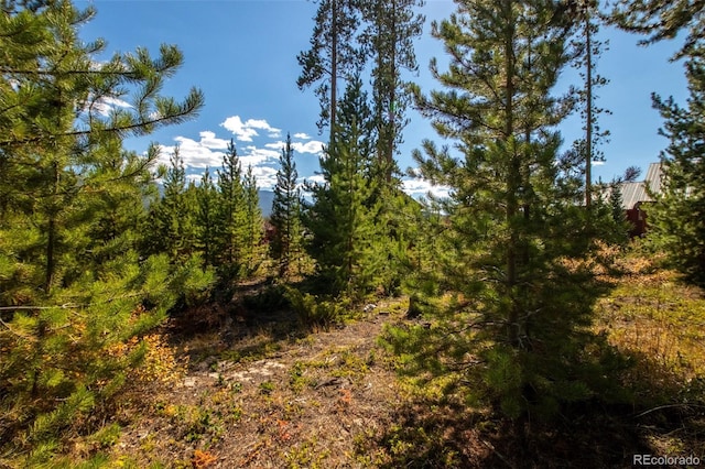 220 Gcr 4571, Grand Lake, CO 80447 - photo 20