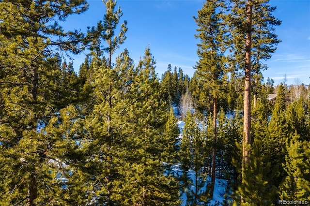 220 Gcr 4571, Grand Lake, CO 80447 - photo 22