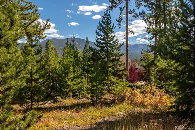 220 Gcr 4571, Grand Lake, CO 80447 - photo 14