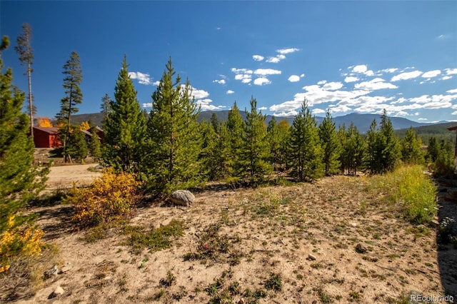 220 Gcr 4571, Grand Lake, CO 80447 - photo 16