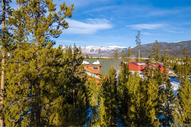 220 Gcr 4571, Grand Lake, CO 80447 - photo 28