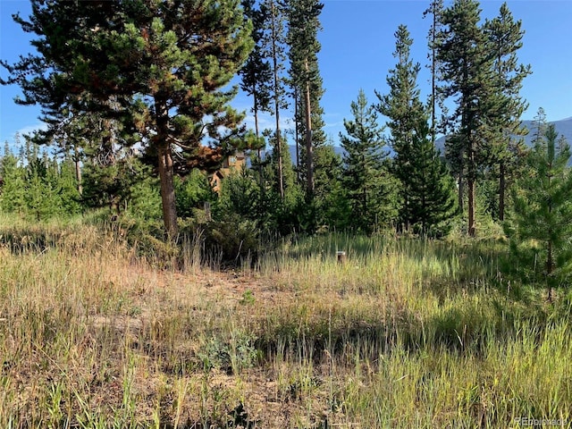 220 Gcr 4571, Grand Lake, CO 80447 - photo 18