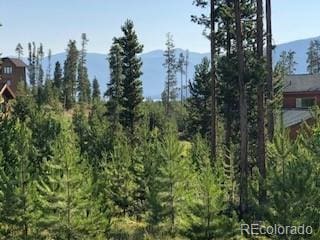 220 Gcr 4571, Grand Lake, CO 80447 - photo 24