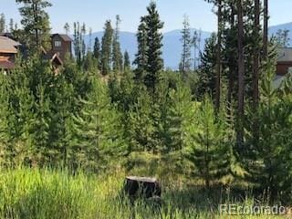 220 Gcr 4571, Grand Lake, CO 80447 - photo 25