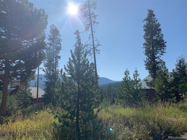 220 Gcr 4571, Grand Lake, CO 80447 - photo 26