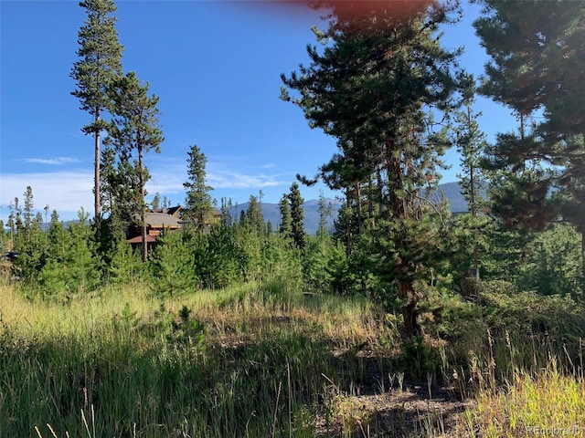 220 Gcr 4571, Grand Lake, CO 80447 - photo 27