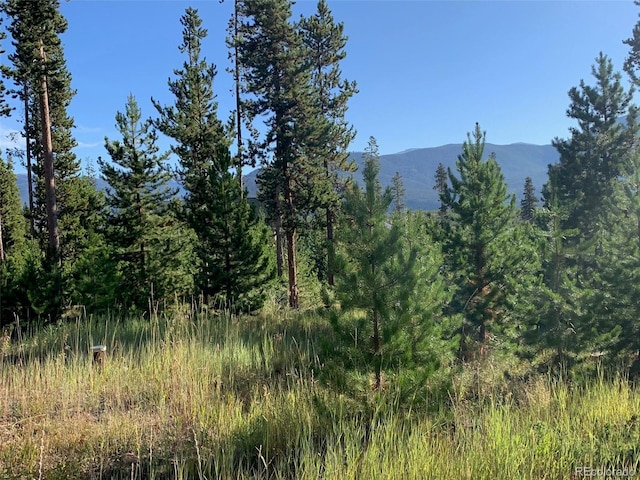 220 Gcr 4571, Grand Lake, CO 80447 - photo 10