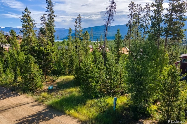 220 Gcr 4571, Grand Lake, CO 80447 - photo 1