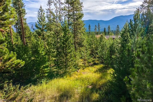 220 Gcr 4571, Grand Lake, CO 80447 - photo 2