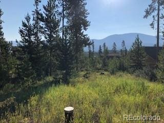 220 Gcr 4571, Grand Lake, CO 80447 - photo 3