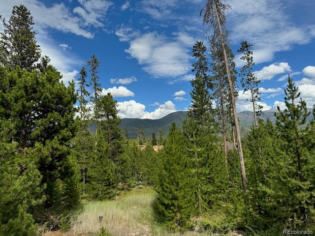 220 Gcr 4571, Grand Lake, CO 80447 - photo 7